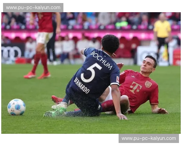 德甲2023:激情与革新的黄金赛季