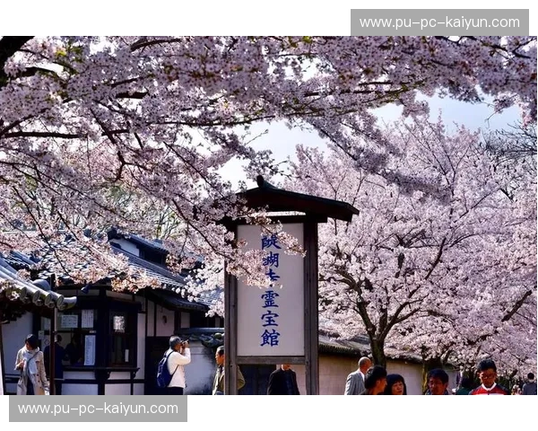 樱花祭与北国风暴：大阪樱花vs北海道，一场关于尊严与热血的终极较量